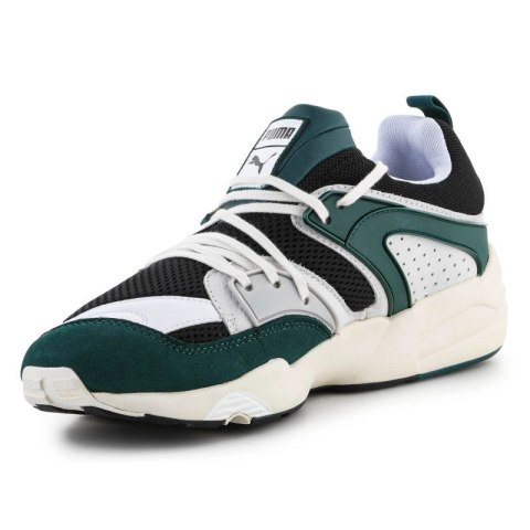 Buty Puma Blaze Of Glory Prm M 387575-02