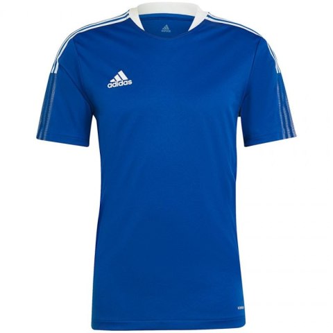 Koszulka adidas TIRO 21 TR JSY M GM7589