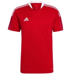 Koszulka adidas Tiro 21 Training Jersey M GM7588