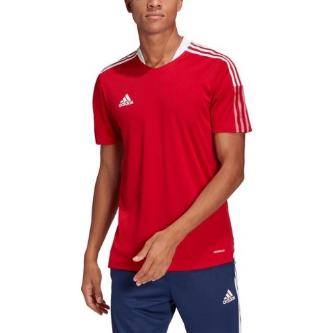 Koszulka adidas Tiro 21 Training Jersey M GM7588