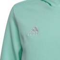 Bluza adidas Entrada 22 Hoody JR HC5066