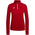 Bluza adidas Entrada 22 Top Training W H57551