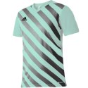 Koszulka adidas Entrada 22 Graphic Jersey M HF0119