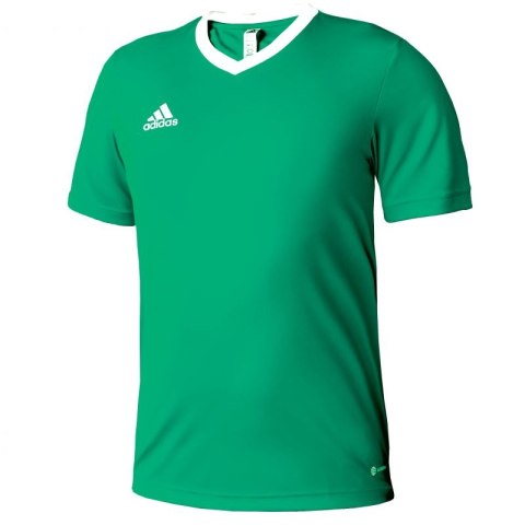 Koszulka adidas Entrada 22 Jersey Jr HI2126