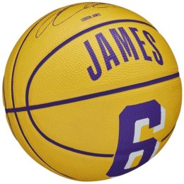 Piłka Wilson NBA Player Icon Stephen Curry Mini Ball WZ4007401XB