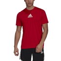 Koszulka adidas Primeblue Designed To Move Sport 3-Stripes Tee M GM4318