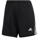 Spodenki adidas Squadra 21 Short W GN5780