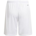 Spodenki adidas Squadra 21 Short Youth Jr GN5765