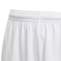 Spodenki adidas Squadra 21 Short Youth Jr GN5765