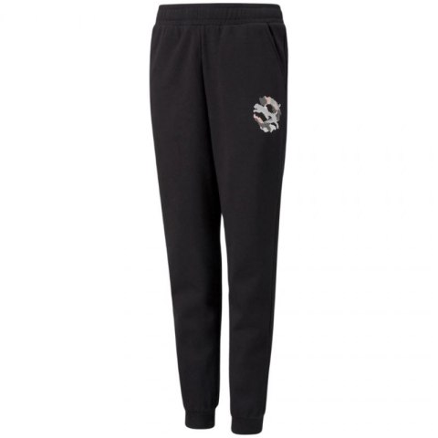 Spodnie Puma Alpha Sweatpants FL Jr 589235 01