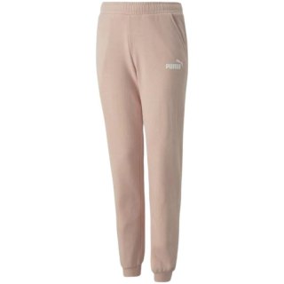 Spodnie Puma Alpha Sweatpants FL cL G Jr 670222 47