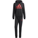 Dres adidas Big Logo Terry Track Suit M IP5553