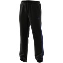 Spodnie adidas Essentials Samson Joggers M EE2328